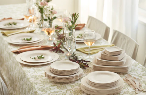 Are disposable plastic plates really environmentally friendly