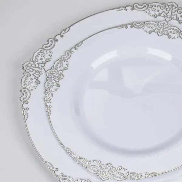 Silver Rimmed Plastic Plate