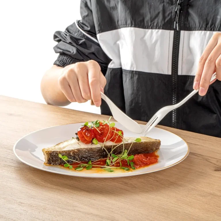 Disposable Plates Biodegradable
